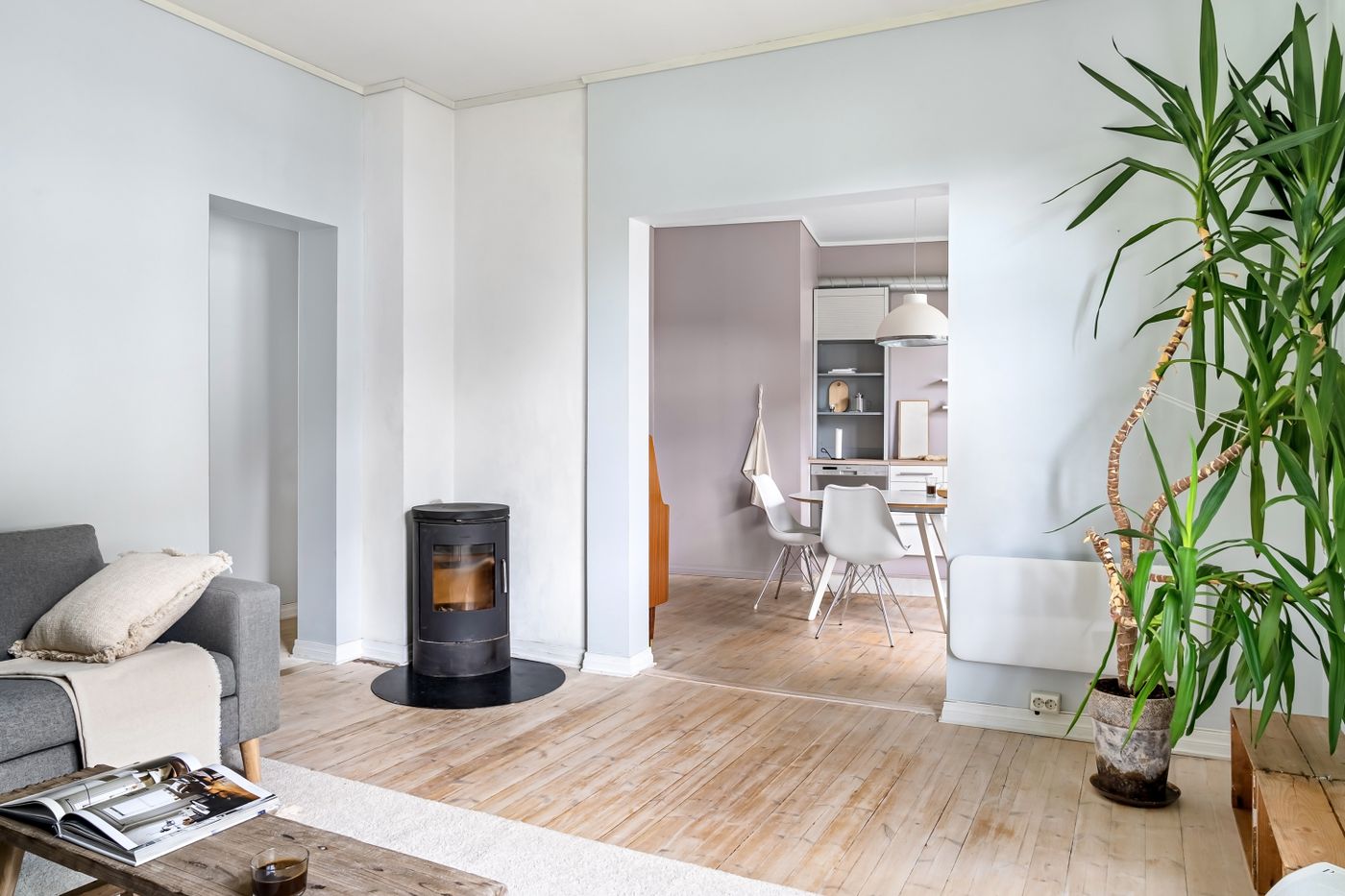 Bright living room with a wood-burning stove and houseplants